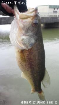 �֥�å��Х�