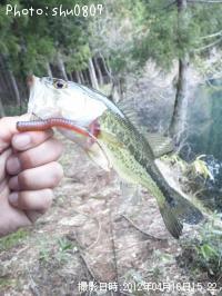 �֥�å��Х�