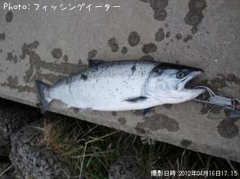 ������ޥ�