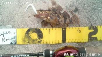 ¥¿¥±¥Î¥³¥á¥Ð¥ë