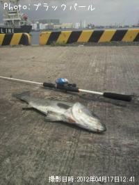 �����Х�