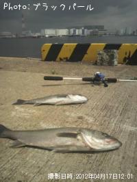 �����Х�