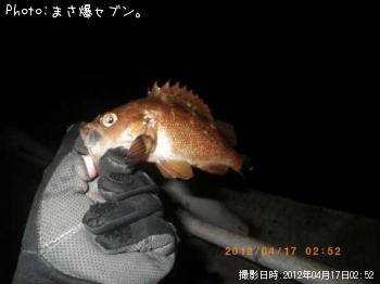 ������Х�