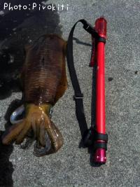 �����ꥤ��