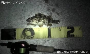 �����Υ���Х�