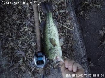 �֥�å��Х�