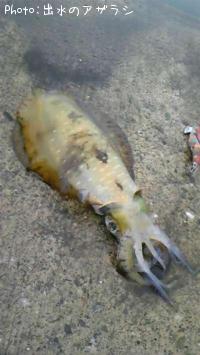 �ߥ�����