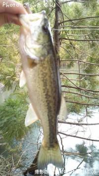 ¥Ö¥é¥Ã¥¯¥Ð¥¹