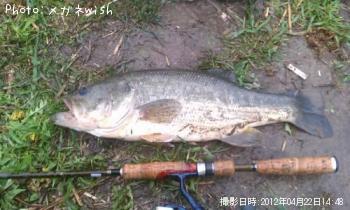 ¥Ö¥é¥Ã¥¯¥Ð¥¹