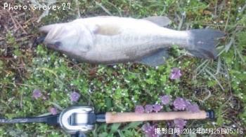 ¥Ö¥é¥Ã¥¯¥Ð¥¹