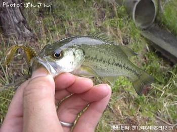 ¥Ö¥é¥Ã¥¯¥Ð¥¹