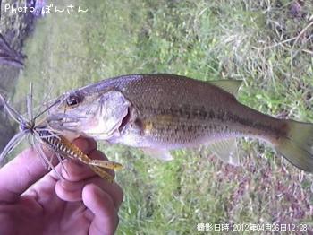 ¥Ö¥é¥Ã¥¯¥Ð¥¹