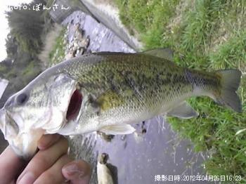 ¥Ö¥é¥Ã¥¯¥Ð¥¹