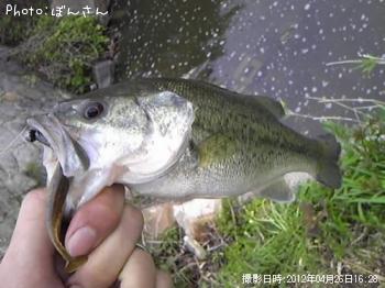 ¥Ö¥é¥Ã¥¯¥Ð¥¹