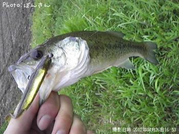 ¥Ö¥é¥Ã¥¯¥Ð¥¹