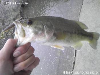 ¥Ö¥é¥Ã¥¯¥Ð¥¹