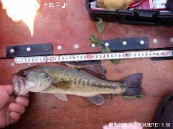 ¥Ö¥é¥Ã¥¯¥Ð¥¹