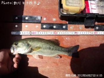 ¥Ö¥é¥Ã¥¯¥Ð¥¹