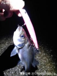 �����Х�