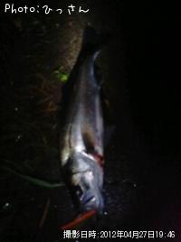 �����Х�