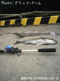 �����Х�