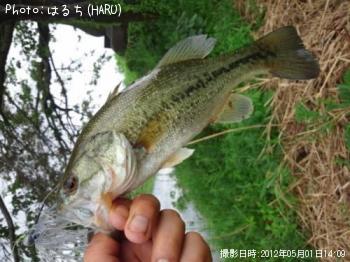 ¥Ö¥é¥Ã¥¯¥Ð¥¹