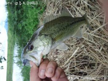 ¥Ö¥é¥Ã¥¯¥Ð¥¹