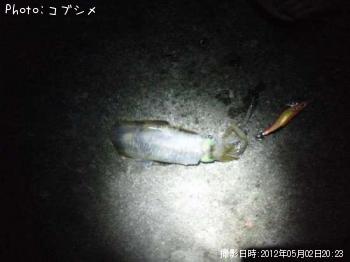 �����ꥤ��