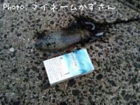 �ߥ�����