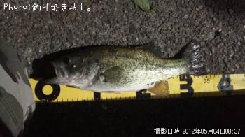 �֥�å��Х�