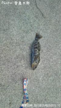 �����ʥ�