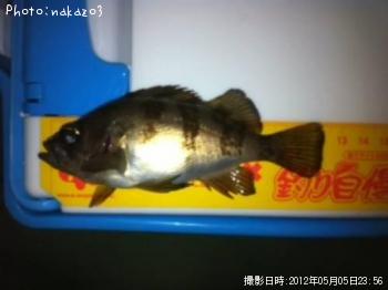 ���ӥ�Х�ߣ�