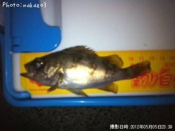 ���ӥ�Х�ߣ�