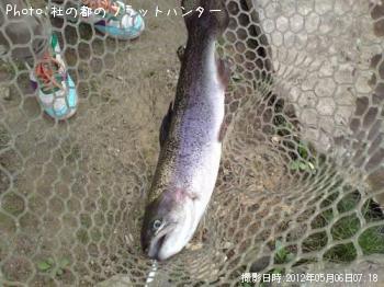 ¥ì¥¤¥ó¥Ü¡¼¥È¥é¥¦¥È