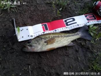 �֥�å��Х�