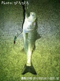 �����Х�