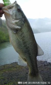 ¥Ö¥é¥Ã¥¯¥Ð¥¹