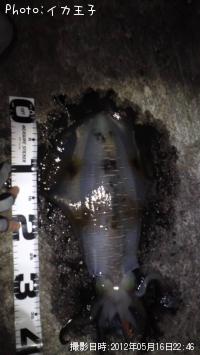 ¥¢¥ª¥ê¥¤¥«