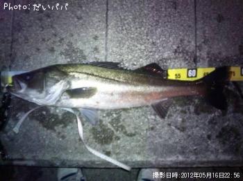 �����Х�