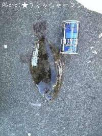 ¥Þ¥³¥¬¥ì¥¤