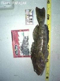 �����ʥ�