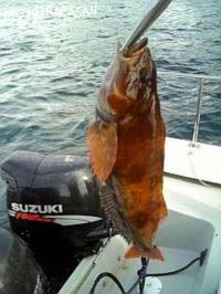 �����ʥ�