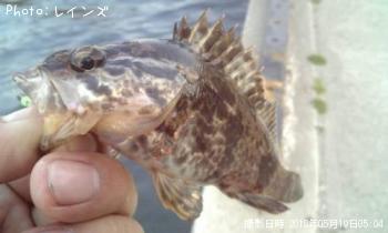 �����Υ���Х�