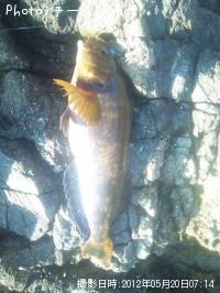 �����ʥ�