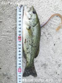 �֥�å��Х�