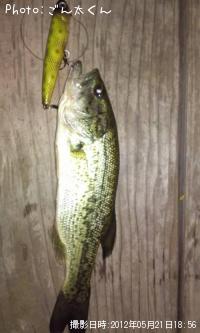 ¥Ö¥é¥Ã¥¯¥Ð¥¹