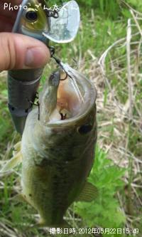 ¥Ö¥é¥Ã¥¯¥Ð¥¹