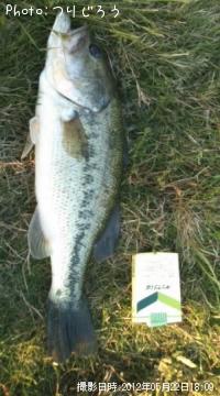 �֥�å��Х�