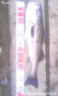 �����Х�