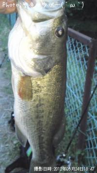 ¥Ö¥é¥Ã¥¯¥Ð¥¹